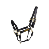 Kentucky Horsewear Nylon Control Halter - Equiluxe Tack