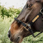 Kentucky Horsewear Nylon Control Halter - Equiluxe Tack