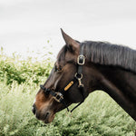 Kentucky Horsewear Nylon Control Halter - Equiluxe Tack