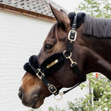 Kentucky Horsewear Nylon Sheepskin Halter Soft - Equiluxe Tack