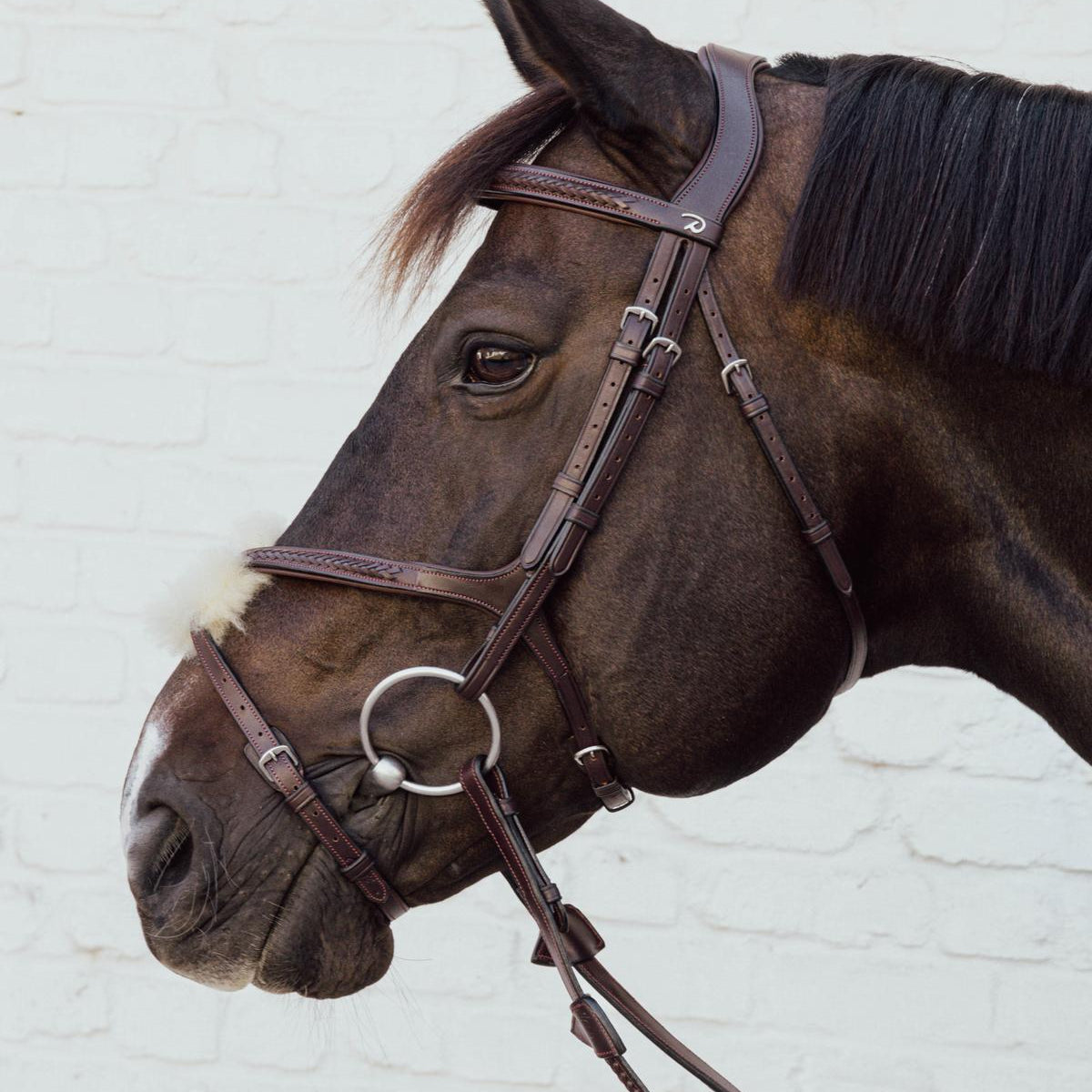 Kentucky Horsewear Plaited fig 8 noseband - Kentucky Horsewear - Equiluxe Tack