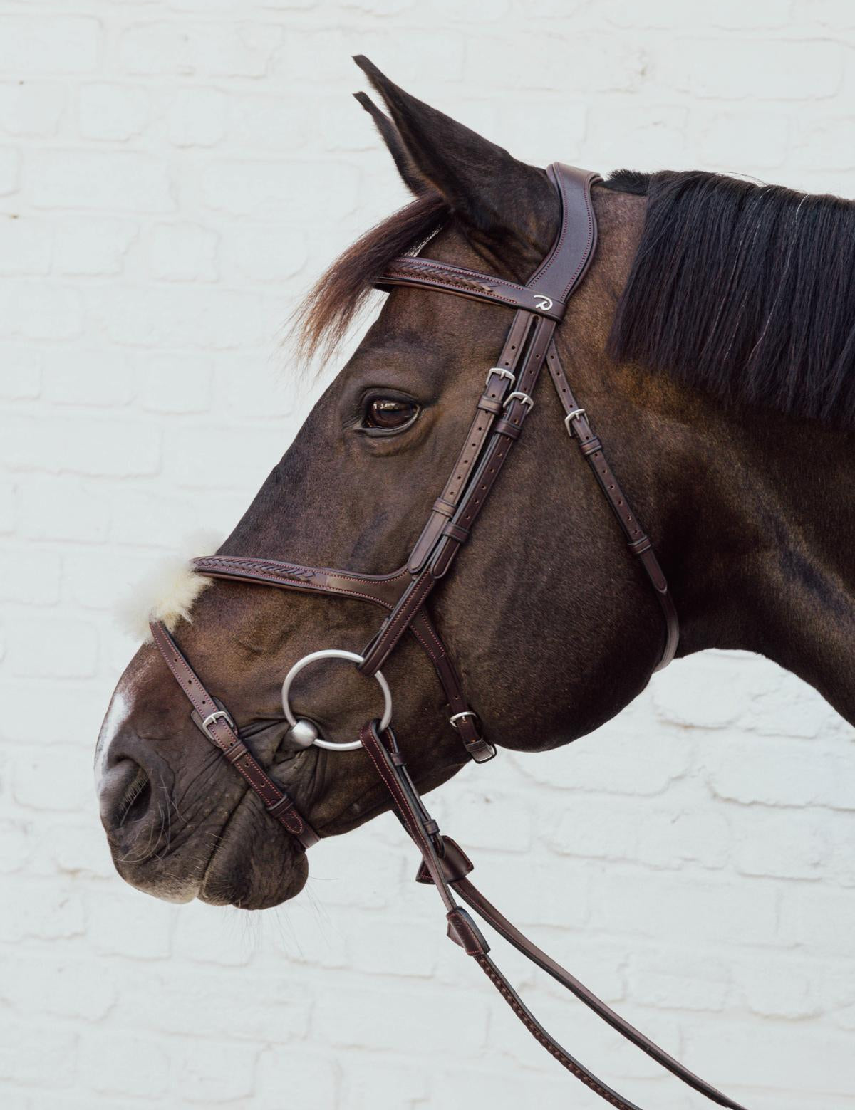 Kentucky Horsewear Plaited fig 8 noseband - Kentucky Horsewear - Equiluxe Tack