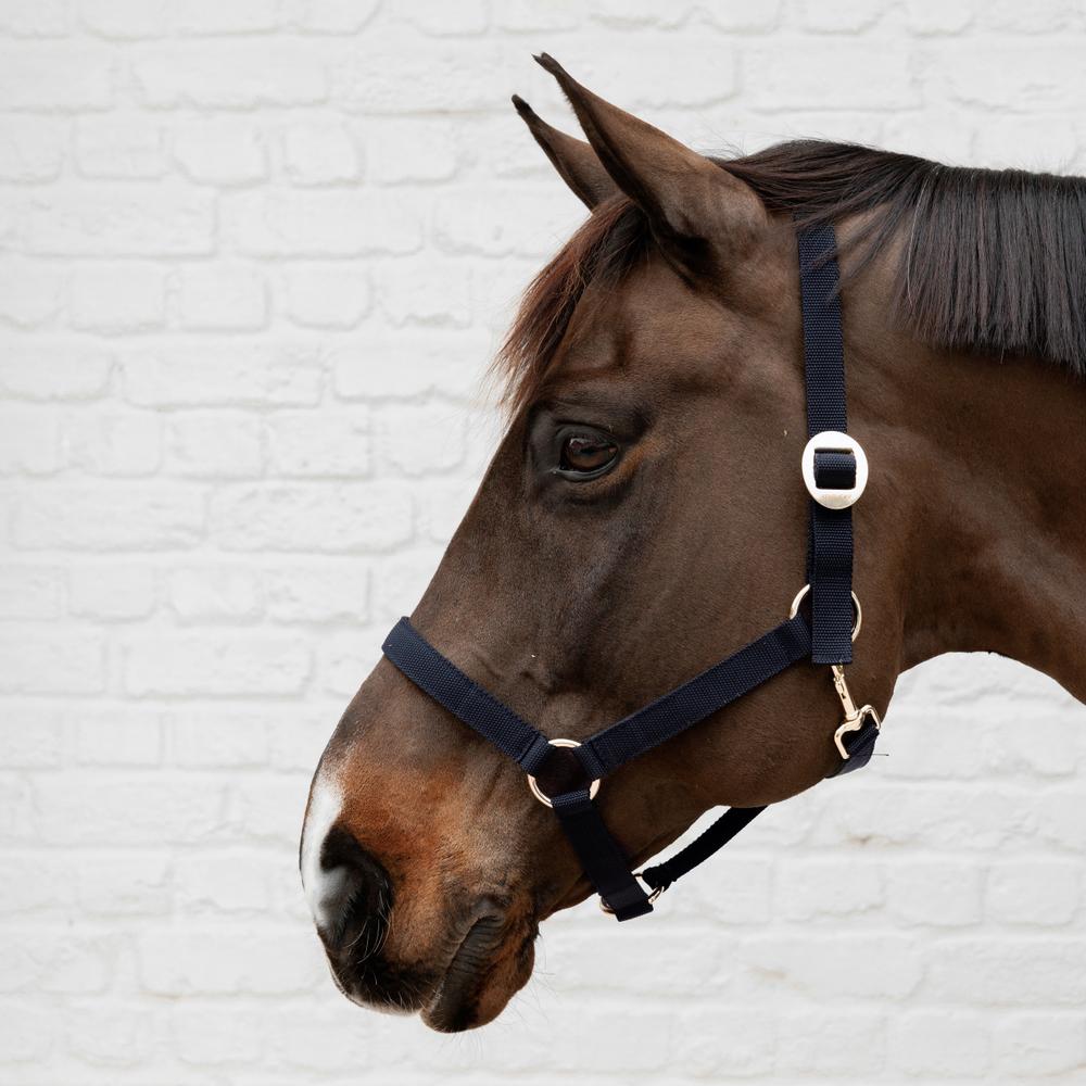 Kentucky Horsewear Plaited Nylon Collection Nylon Halter - Equiluxe Tack