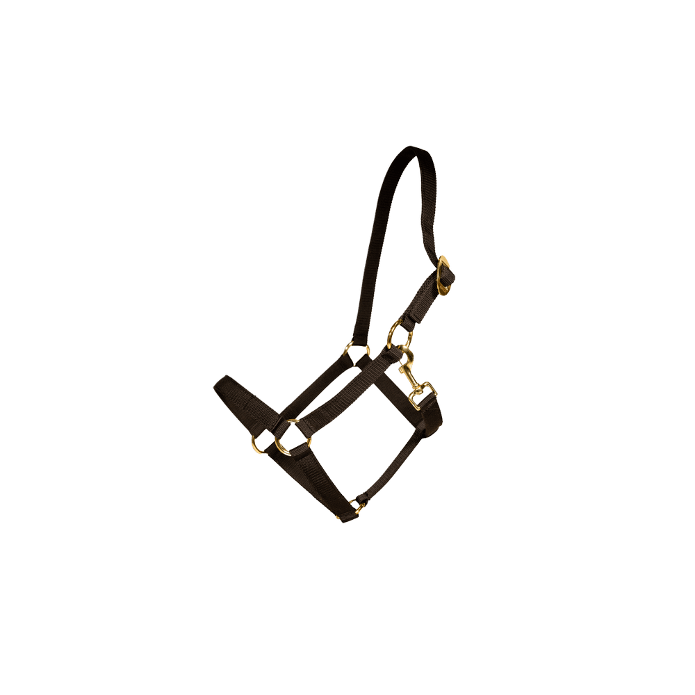 Kentucky Horsewear Plaited Nylon Collection Nylon Halter - Equiluxe Tack