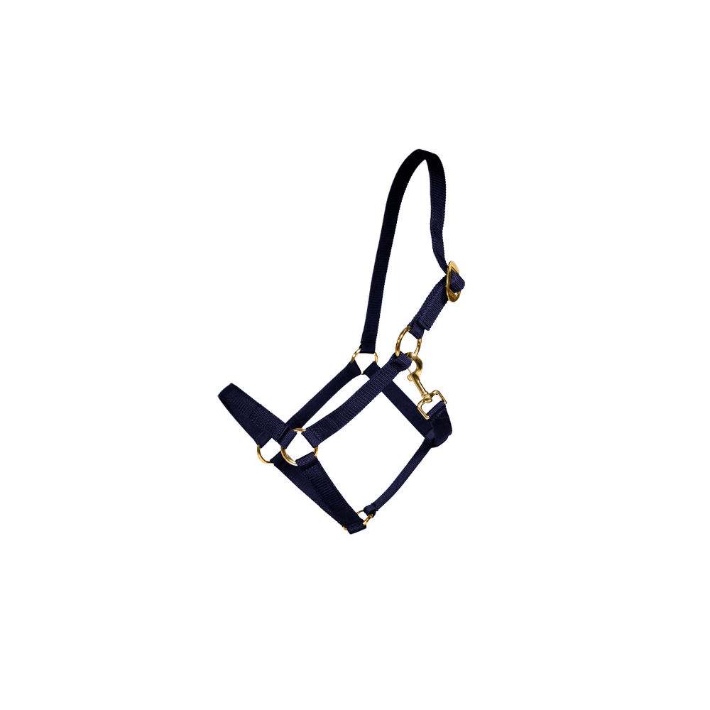 Kentucky Horsewear Plaited Nylon Collection Nylon Halter - Equiluxe Tack