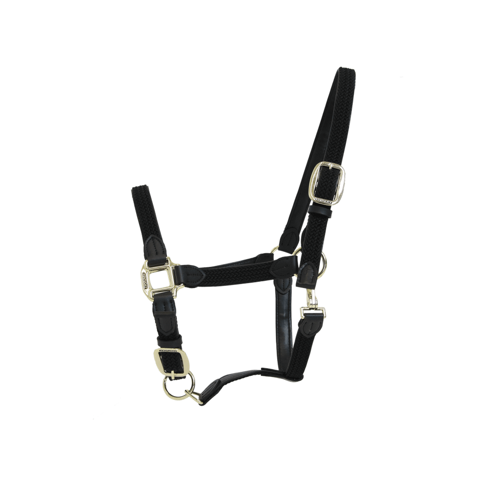 Kentucky Horsewear Plaited Nylon Halter - Equiluxe Tack