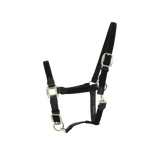 Kentucky Horsewear Plaited Nylon Halter - Equiluxe Tack
