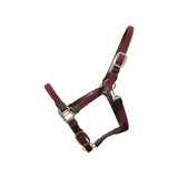 Kentucky Horsewear Plaited Nylon Halter - Equiluxe Tack