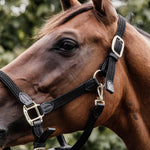 Kentucky Horsewear Plaited Nylon Halter - Equiluxe Tack