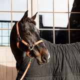 Kentucky Horsewear Plaited Nylon Lead 2m - Equiluxe Tack