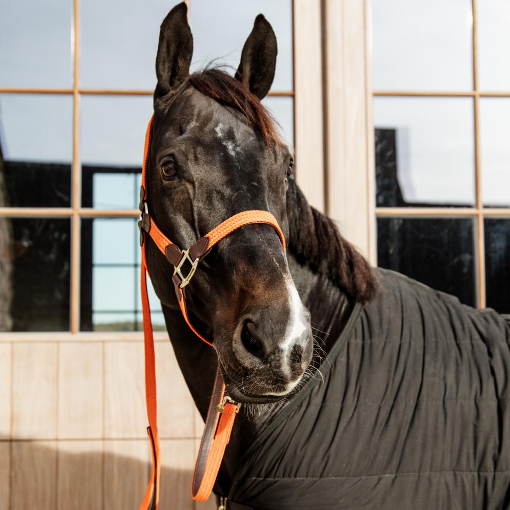 Kentucky Horsewear Plaited Nylon Lead 2m - Equiluxe Tack