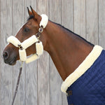 Kentucky Horsewear Presentation Lead 2m - Equiluxe Tack