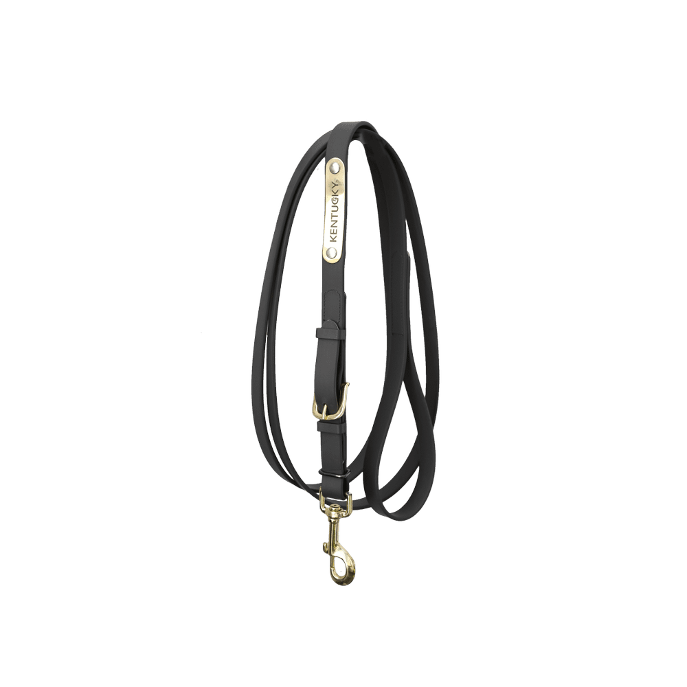 Kentucky Horsewear Presentation Lead 2m - Equiluxe Tack