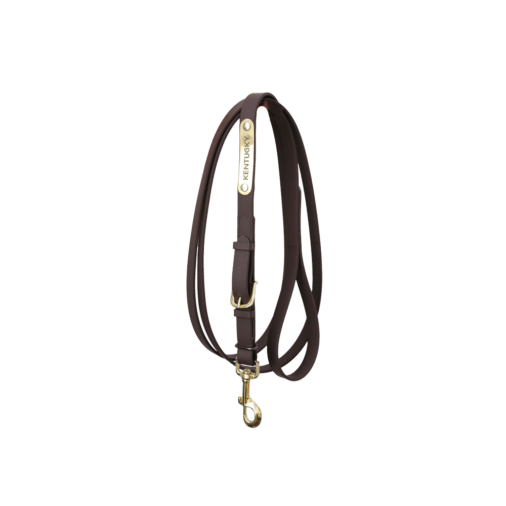 Kentucky Horsewear Presentation Lead 2m - Equiluxe Tack