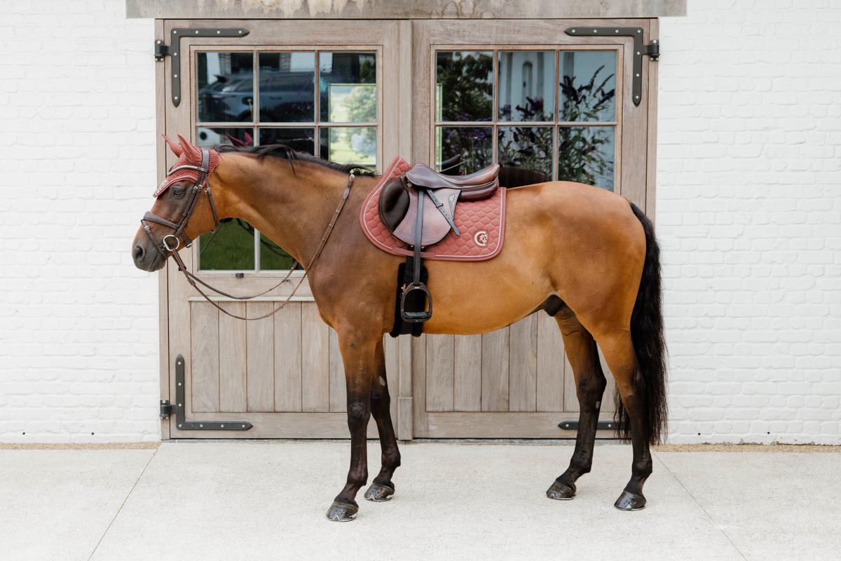 Kentucky Horsewear Saddle Pad 3D Logo Onion Quilt Jumping - Fuchsia - Kentucky Horsewear - Equiluxe Tack