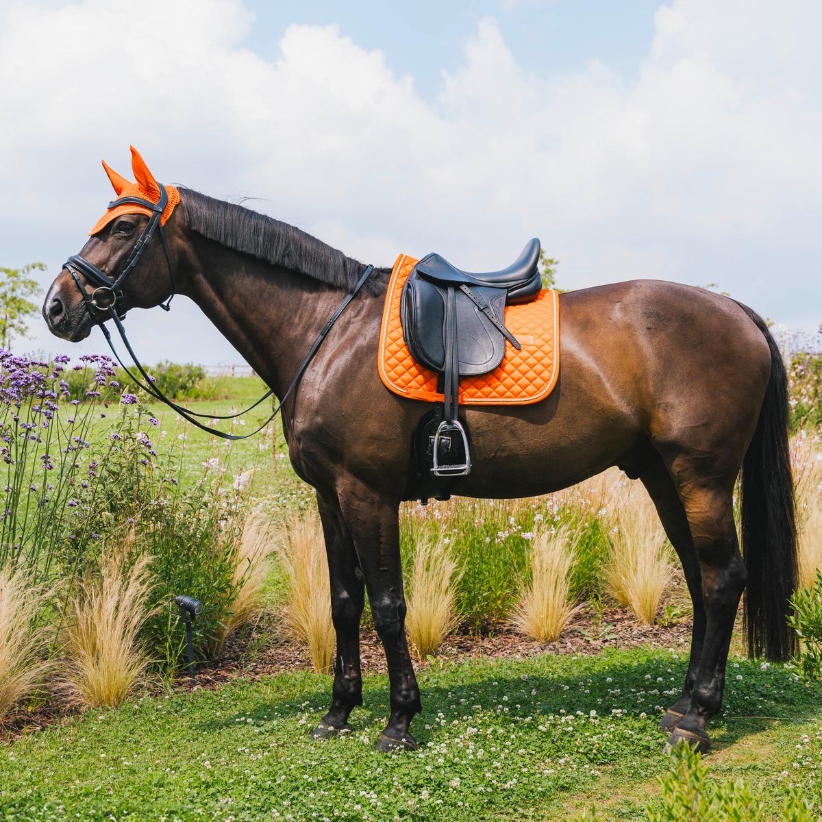 Kentucky Horsewear Saddle Pad Diamond Rope Dressage - Kentucky Horsewear - Equiluxe Tack