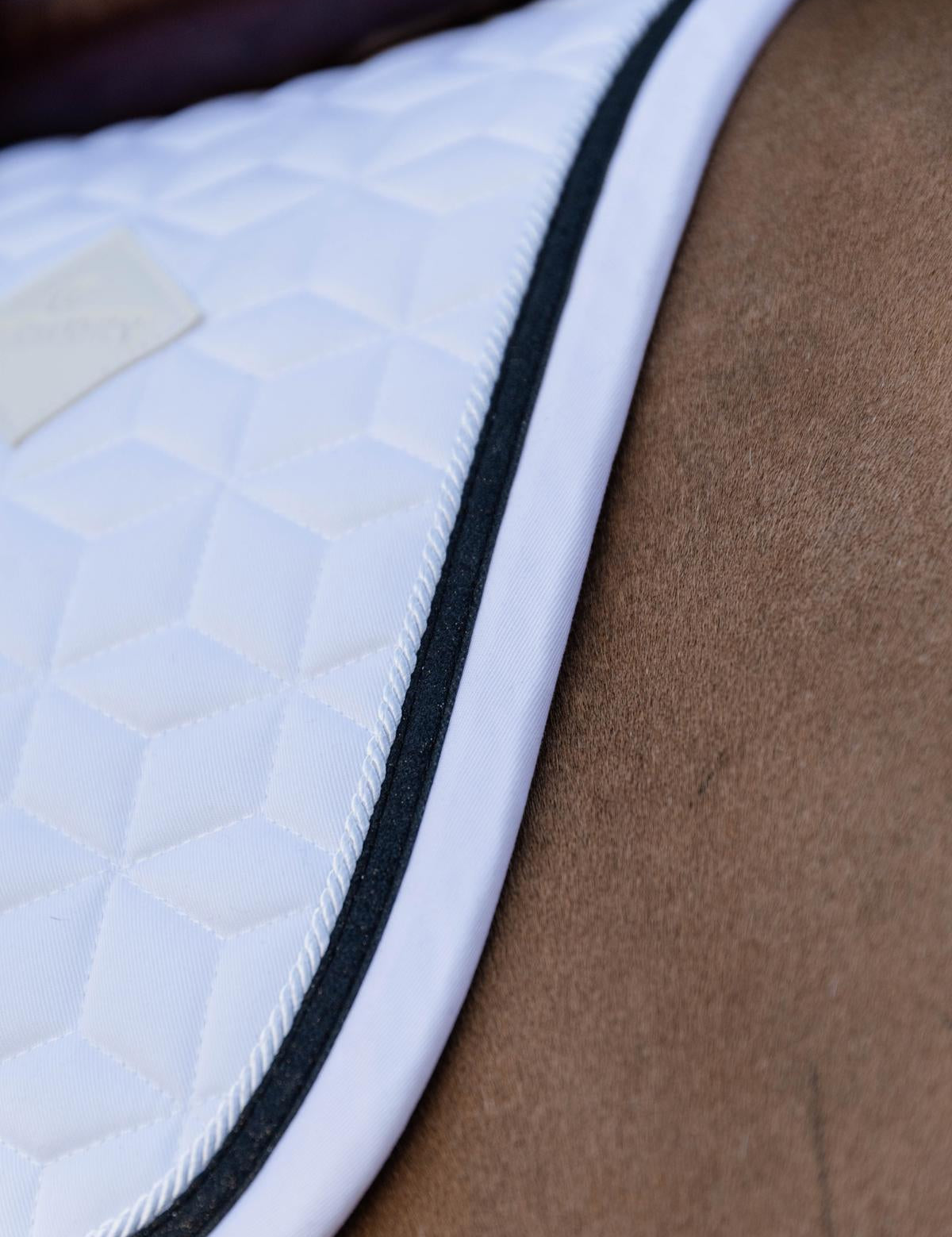 Kentucky Horsewear Saddle Pad Glitter Rope Jumping - White/Black - Kentucky Horsewear - Equiluxe Tack
