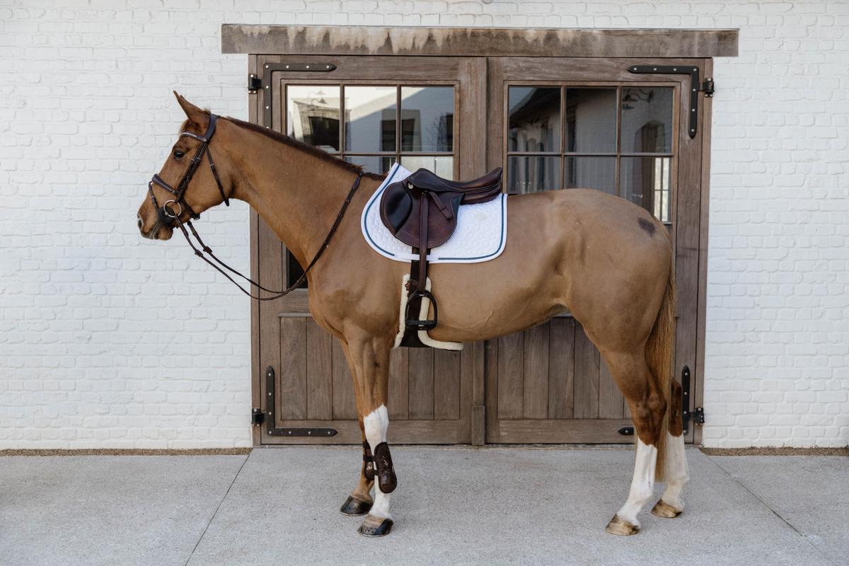 Kentucky Horsewear Saddle Pad Glitter Rope Jumping - White/Navy - Kentucky Horsewear - Equiluxe Tack