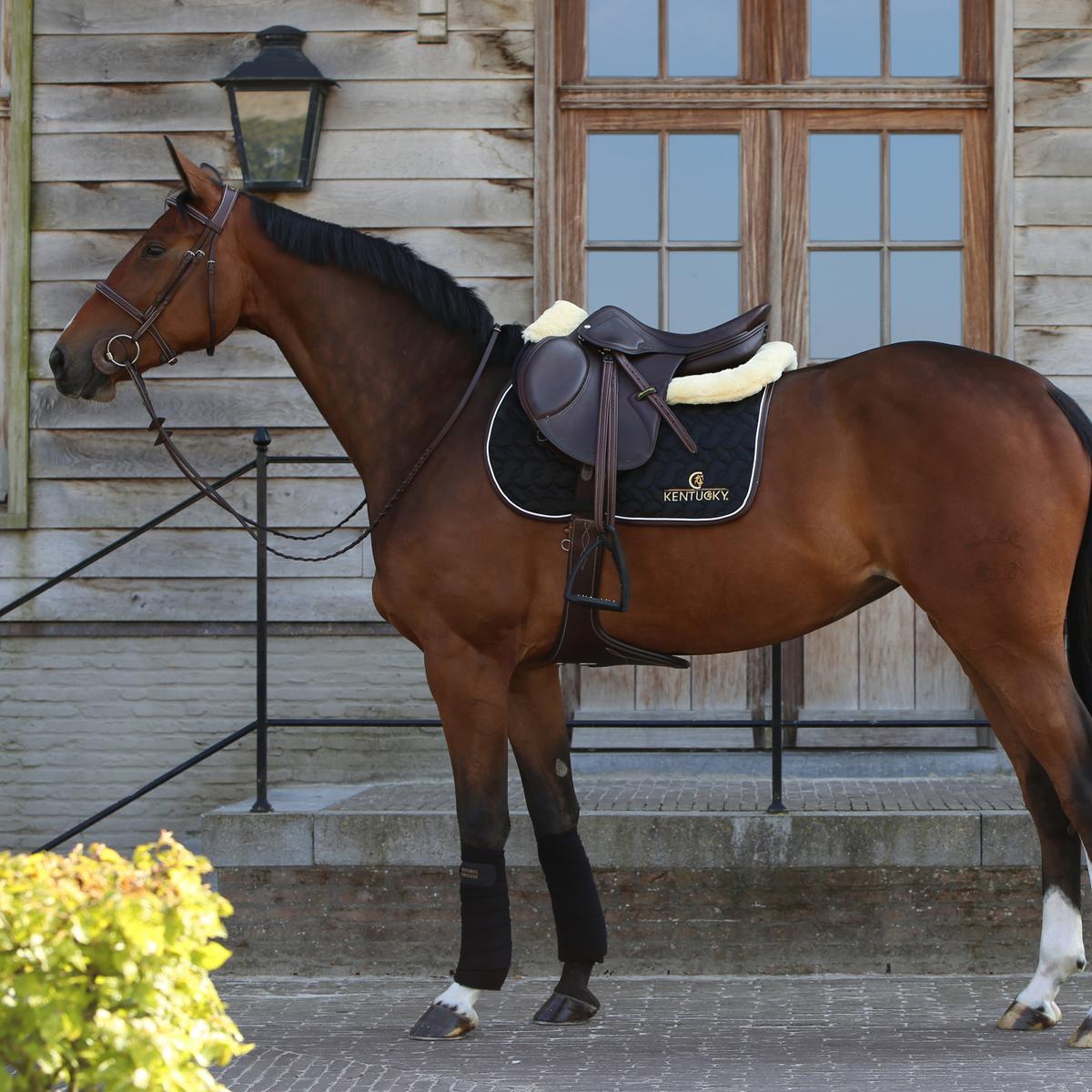 Kentucky Horsewear Saddle Pad Jumping - Kentucky Horsewear - Equiluxe Tack