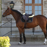 Kentucky Horsewear Saddle Pad No Logo - Kentucky Horsewear - Equiluxe Tack