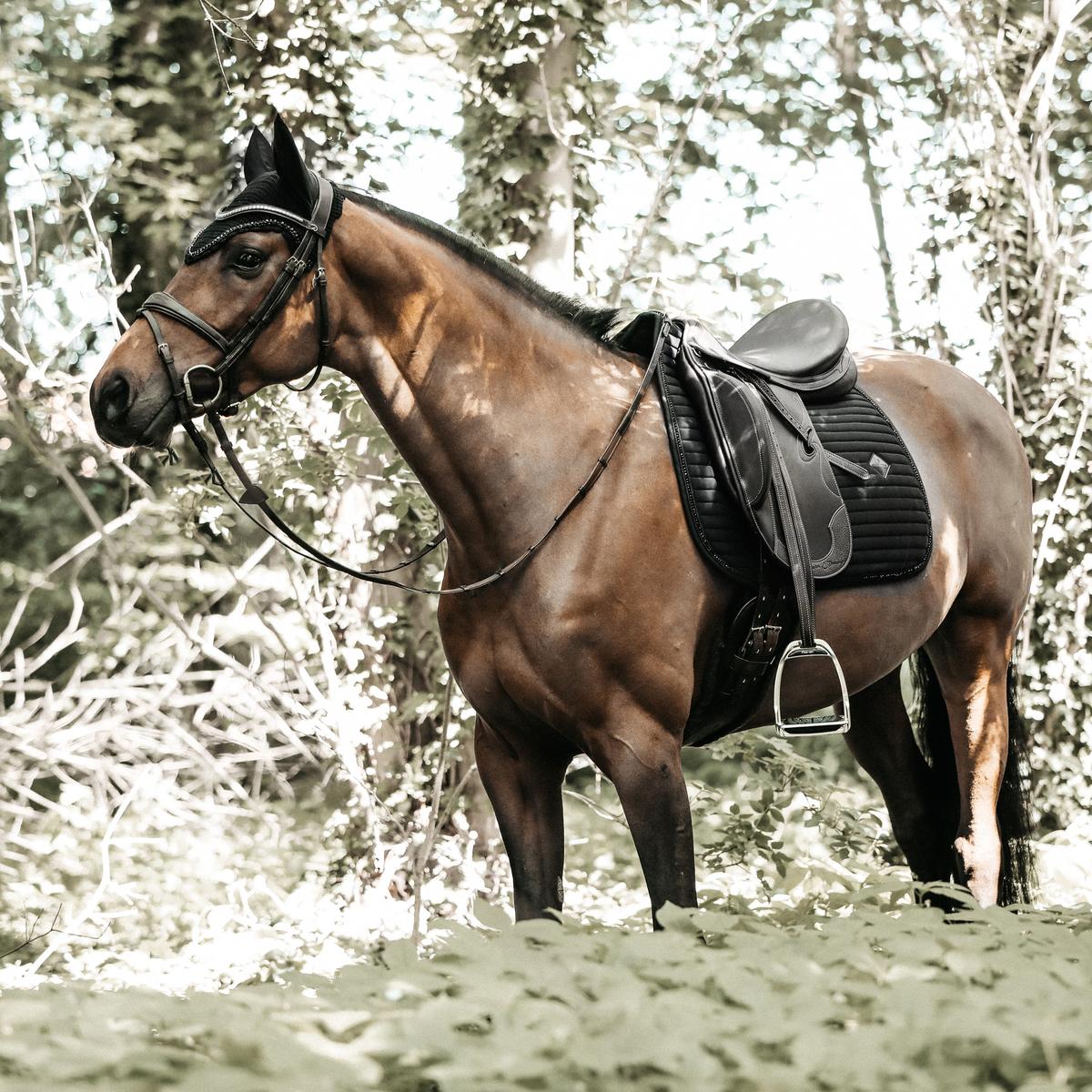 Kentucky Horsewear Saddle Pad Pearls Dressage - Kentucky Horsewear - Equiluxe Tack