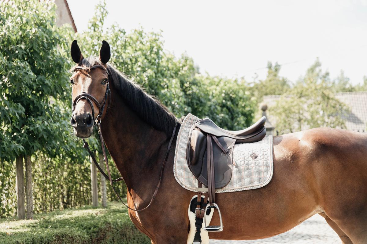 Kentucky Horsewear Saddle Pad Pied De Poule Dressage - Beige - Kentucky Horsewear - Equiluxe Tack