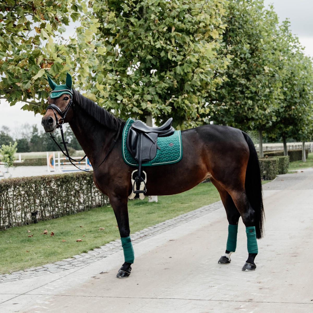 Kentucky Horsewear Saddle Pad Velvet Dressage - Kentucky Horsewear - Equiluxe Tack