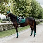 Kentucky Horsewear Saddle Pad Velvet Dressage - Kentucky Horsewear - Equiluxe Tack