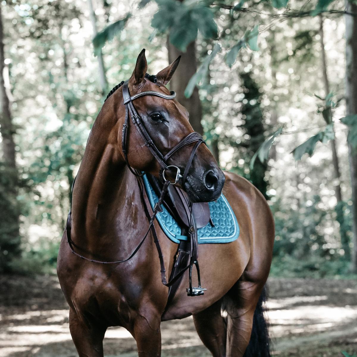 Kentucky Horsewear Saddle Pad Velvet Jumping - Emerald - Kentucky Horsewear - Equiluxe Tack