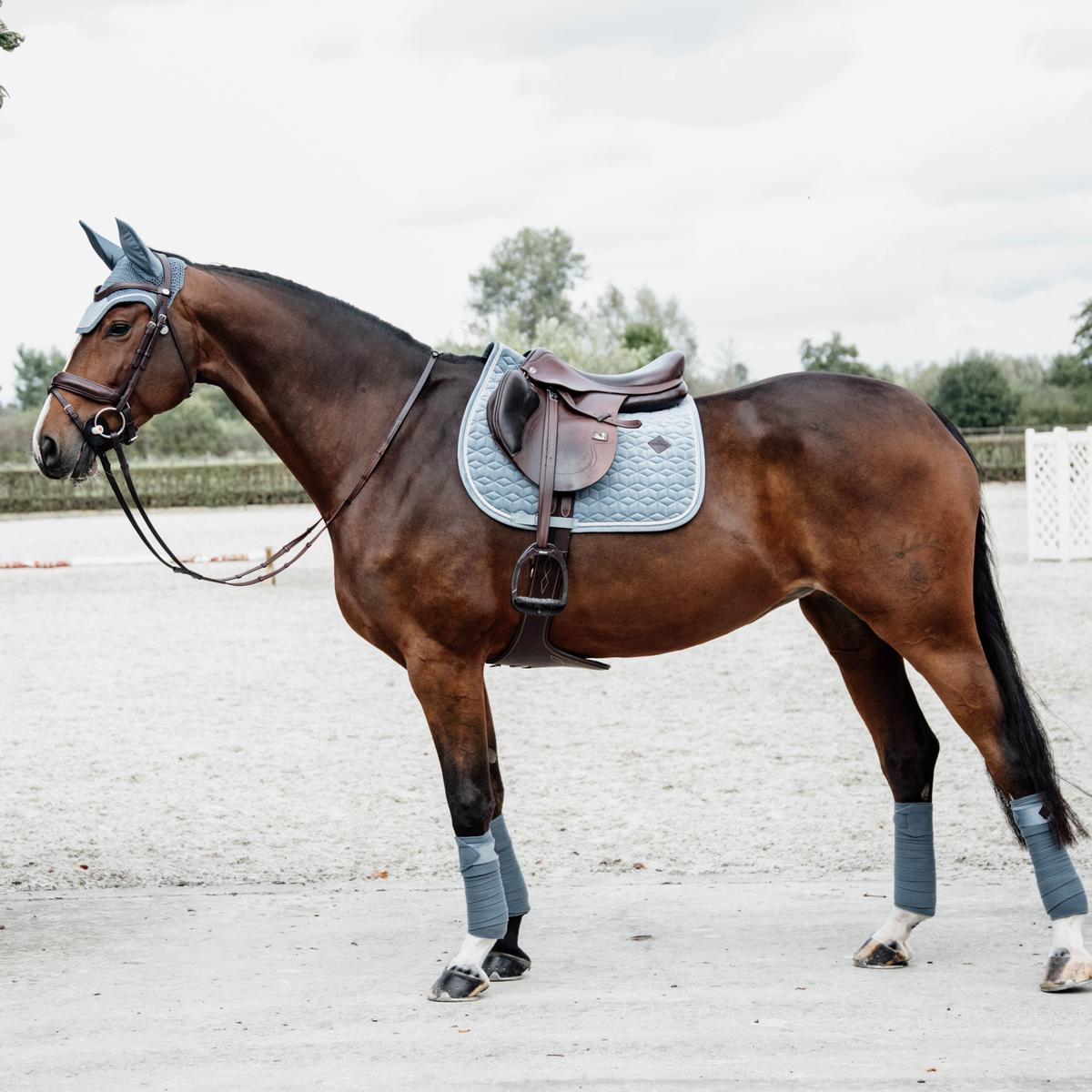 Kentucky Horsewear Saddle Pad Velvet Jumping - Light Blue - Kentucky Horsewear - Equiluxe Tack