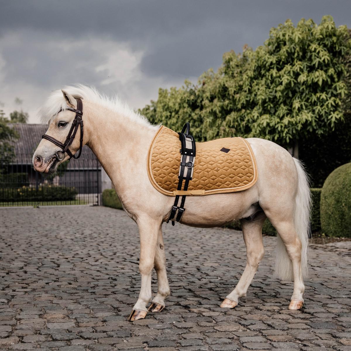 Kentucky Horsewear Saddle Pad Velvet Jumping - Mustard - Kentucky Horsewear - Equiluxe Tack