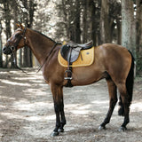 Kentucky Horsewear Saddle Pad Velvet Jumping - Mustard - Kentucky Horsewear - Equiluxe Tack