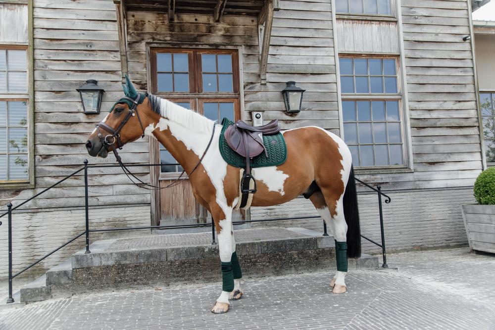 Kentucky Horsewear Saddle Pad Velvet Pearls Jumping - Pine Green - Kentucky Horsewear - Equiluxe Tack