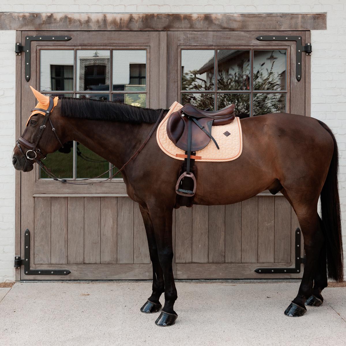 Kentucky Horsewear Saddle Pad Velvet Printing Jumping - Kentucky Horsewear - Equiluxe Tack