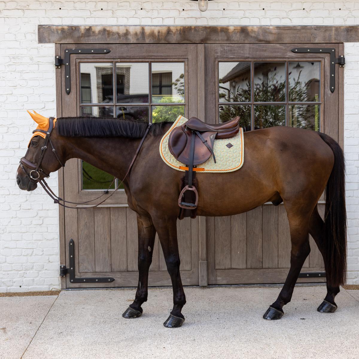 Kentucky Horsewear Saddle Pad Velvet Printing Jumping - Kentucky Horsewear - Equiluxe Tack