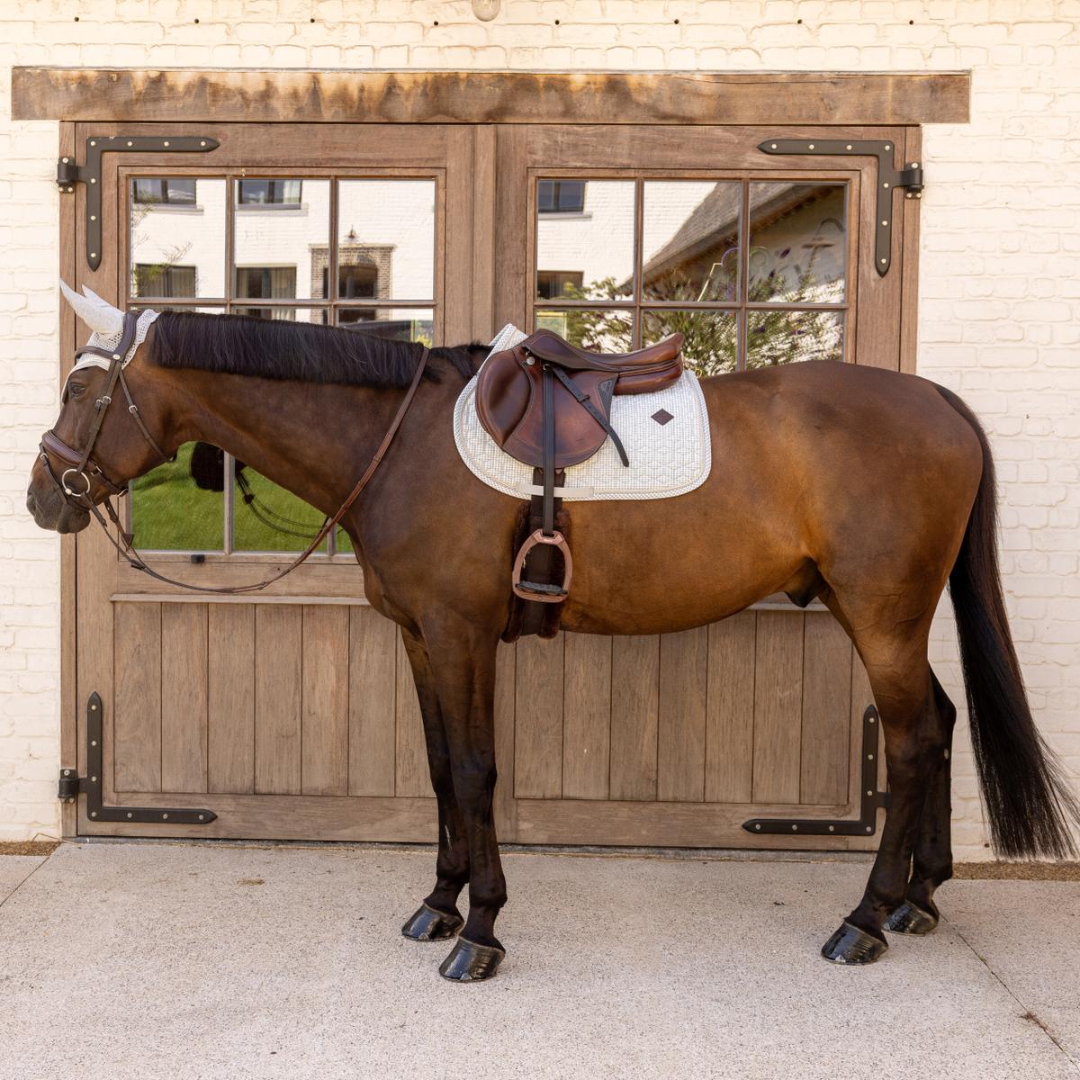 Kentucky Horsewear Saddle Pad Velvet Printing Jumping - Kentucky Horsewear - Equiluxe Tack