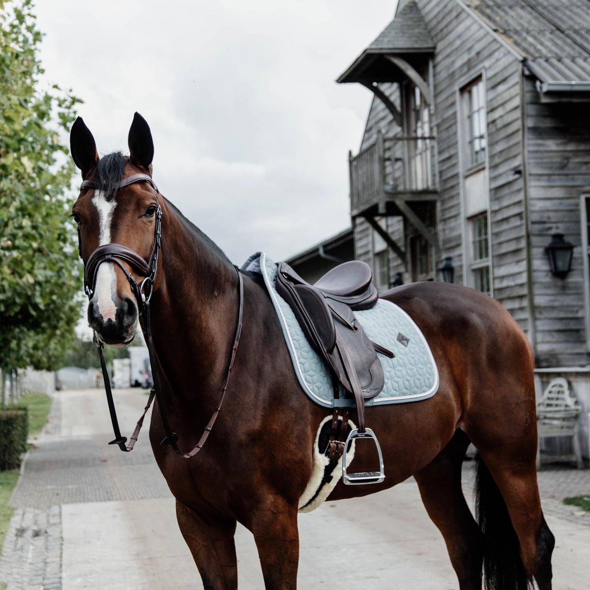 Kentucky Horsewear Saddle Pad Wool Dressage - Kentucky Horsewear - Equiluxe Tack
