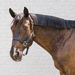 Kentucky Horsewear Safety & Pasture Nylon Breakaway Halter - Equiluxe Tack