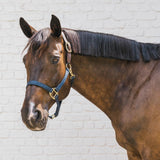 Kentucky Horsewear Safety & Pasture Nylon Breakaway Halter - Equiluxe Tack