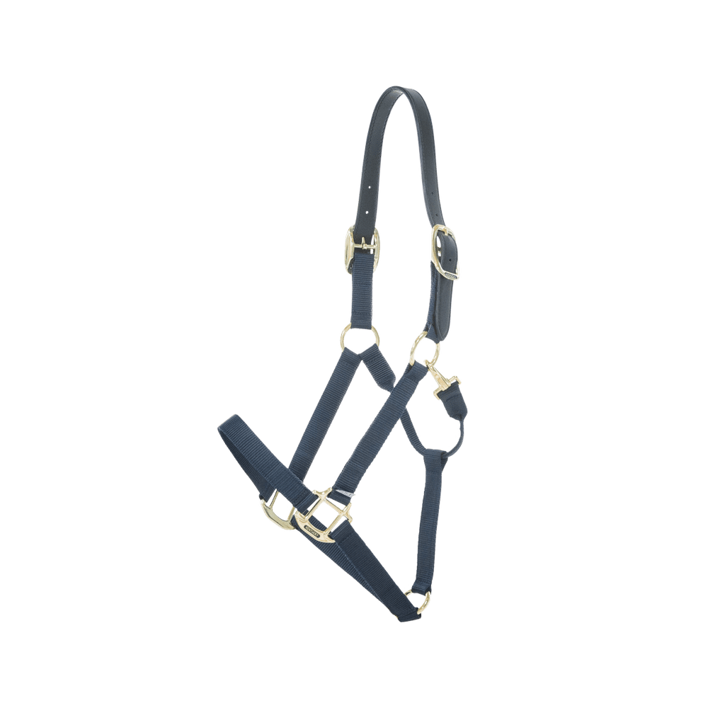 Kentucky Horsewear Safety & Pasture Nylon Breakaway Halter - Equiluxe Tack