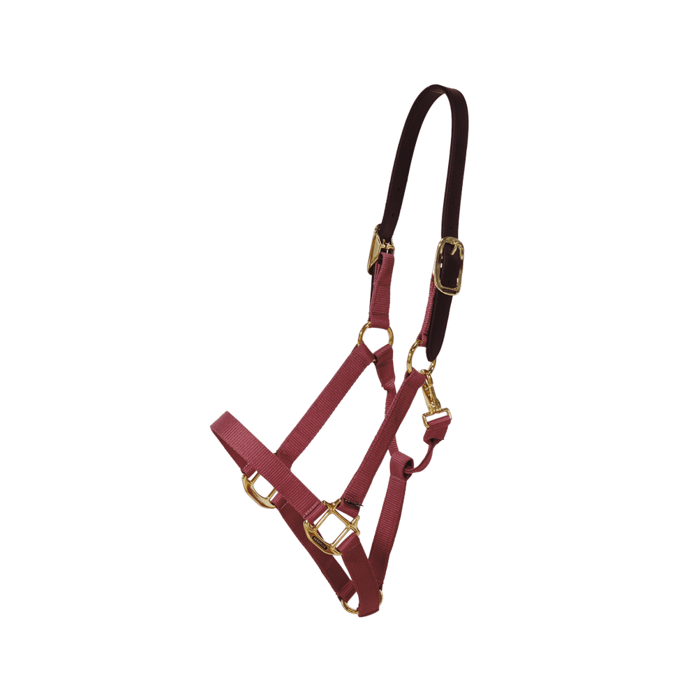 Kentucky Horsewear Safety & Pasture Nylon Breakaway Halter - Equiluxe Tack