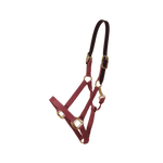 Kentucky Horsewear Safety & Pasture Nylon Breakaway Halter - Equiluxe Tack