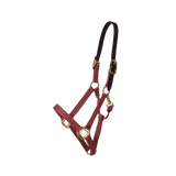 Kentucky Horsewear Safety & Pasture Nylon Breakaway Halter - Equiluxe Tack