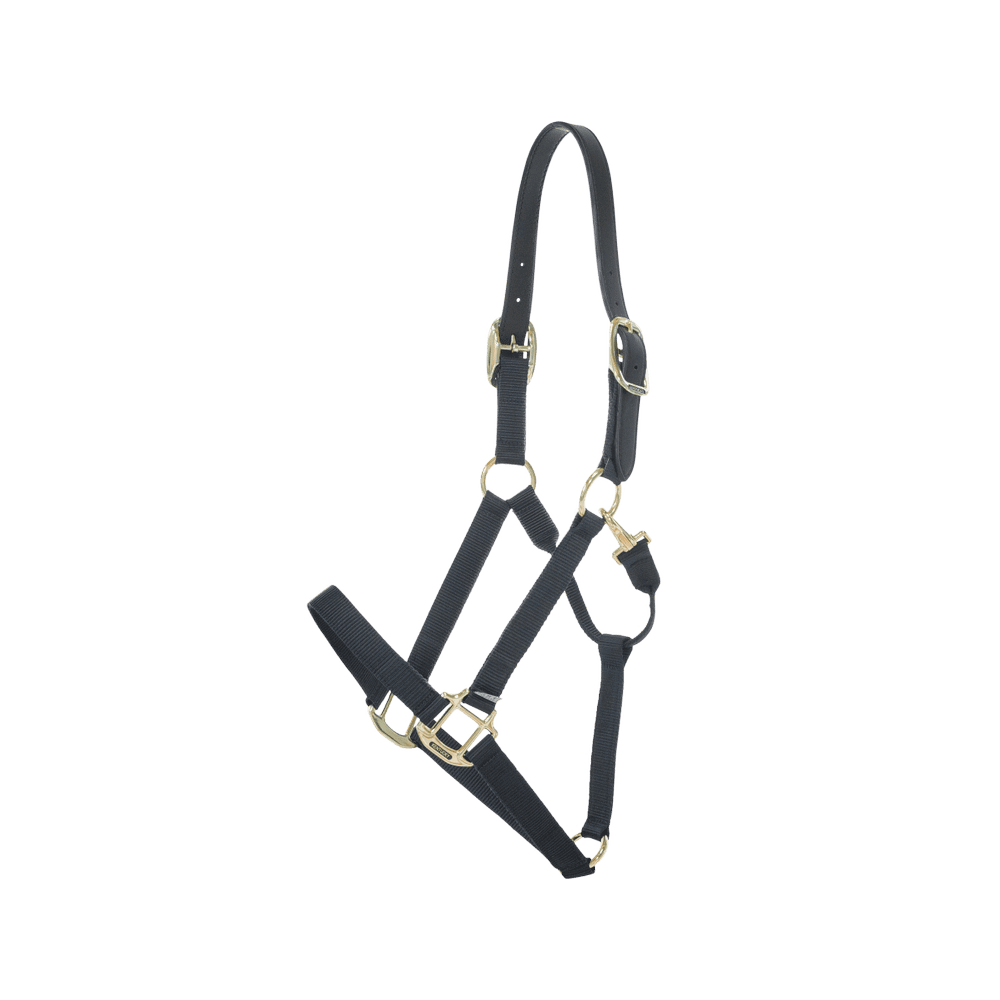Kentucky Horsewear Safety & Pasture Nylon Breakaway Halter - Equiluxe Tack