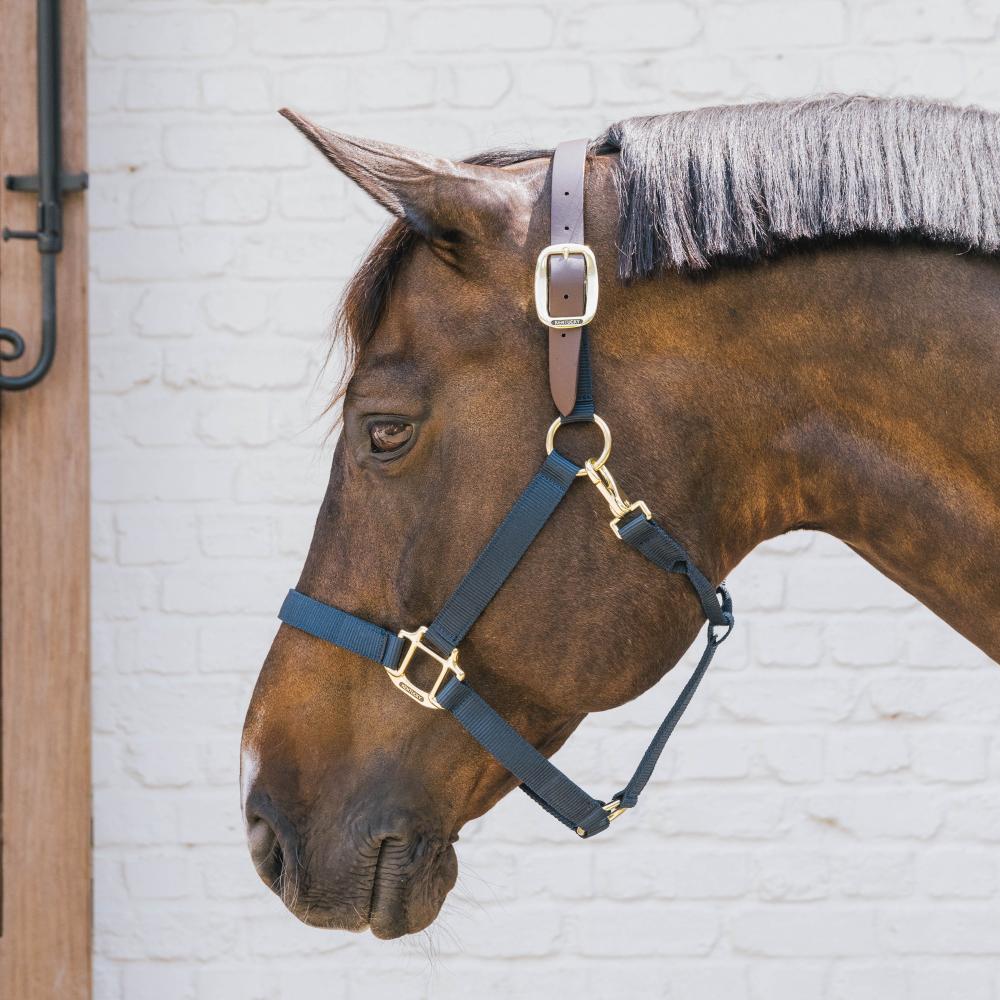 Kentucky Horsewear Safety & Pasture Nylon Breakaway Halter - Equiluxe Tack