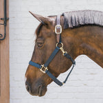 Kentucky Horsewear Safety & Pasture Nylon Breakaway Halter - Equiluxe Tack