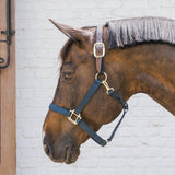 Kentucky Horsewear Safety & Pasture Nylon Breakaway Halter - Equiluxe Tack