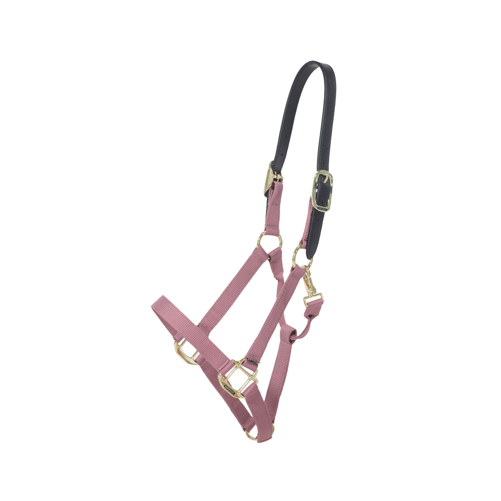 Kentucky Horsewear Safety & Pasture Nylon Breakaway Halter - Equiluxe Tack