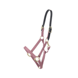 Kentucky Horsewear Safety & Pasture Nylon Breakaway Halter - Equiluxe Tack