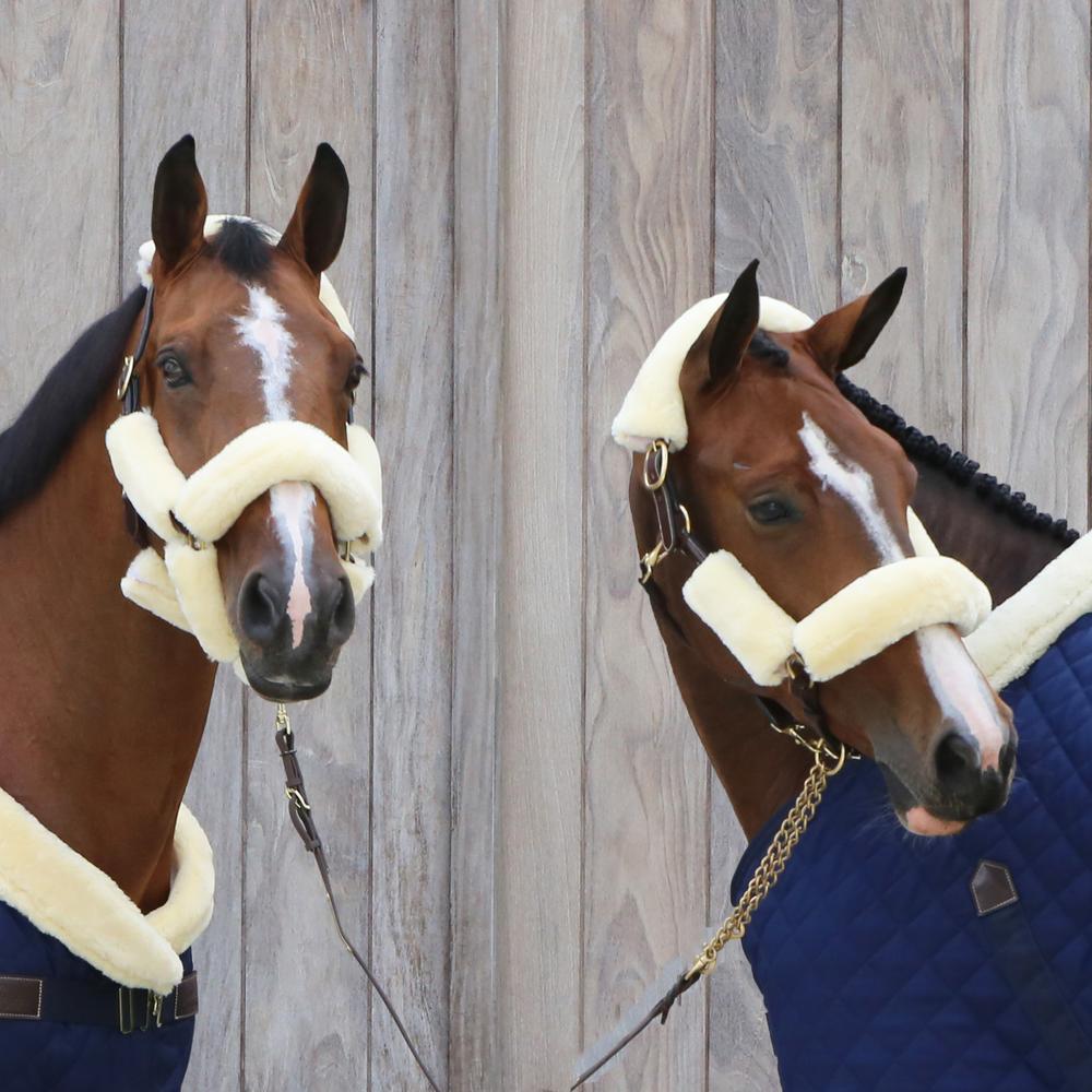 Kentucky Horsewear Sheepskin Halter Set 4 Pieces - Equiluxe Tack